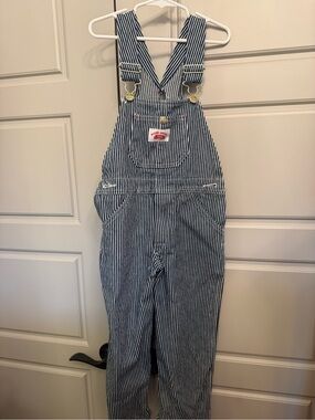 Round House Kids' Blue and White Stripe Denim Overalls with Front Bib